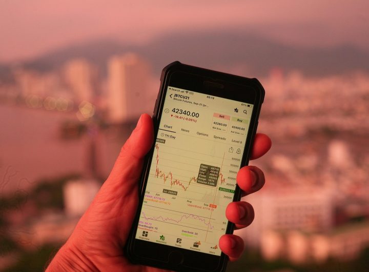 같은 방향으로 움직이는 여러 종목의 주가 차트를 보여주는 이미지